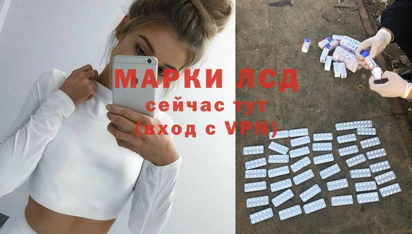 прущие грибы Алзамай