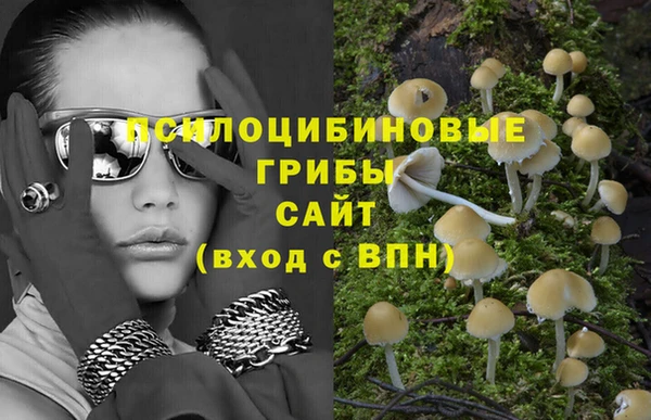прущие грибы Алзамай