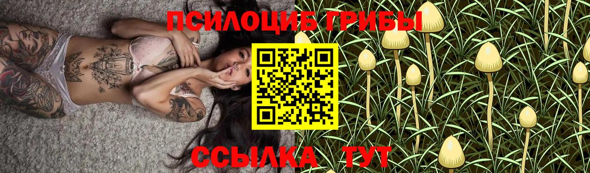 Галлюциногенные грибы мицелий  Вход с VPN  Большой Камень 