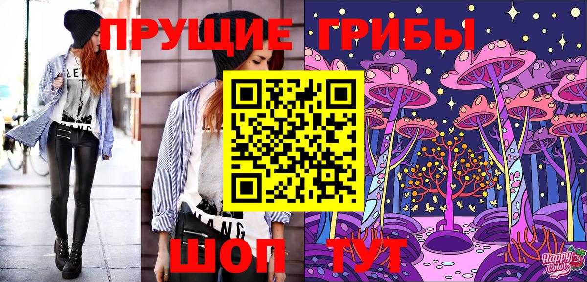 Галлюциногенные грибы Psilocybine cubensis Большой Камень
